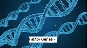 Faktor Genetik